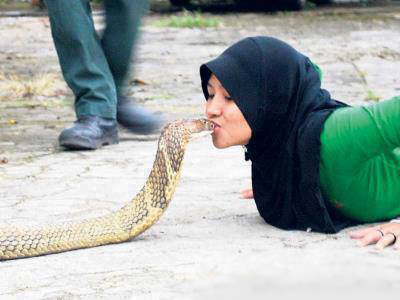 snake-kiss